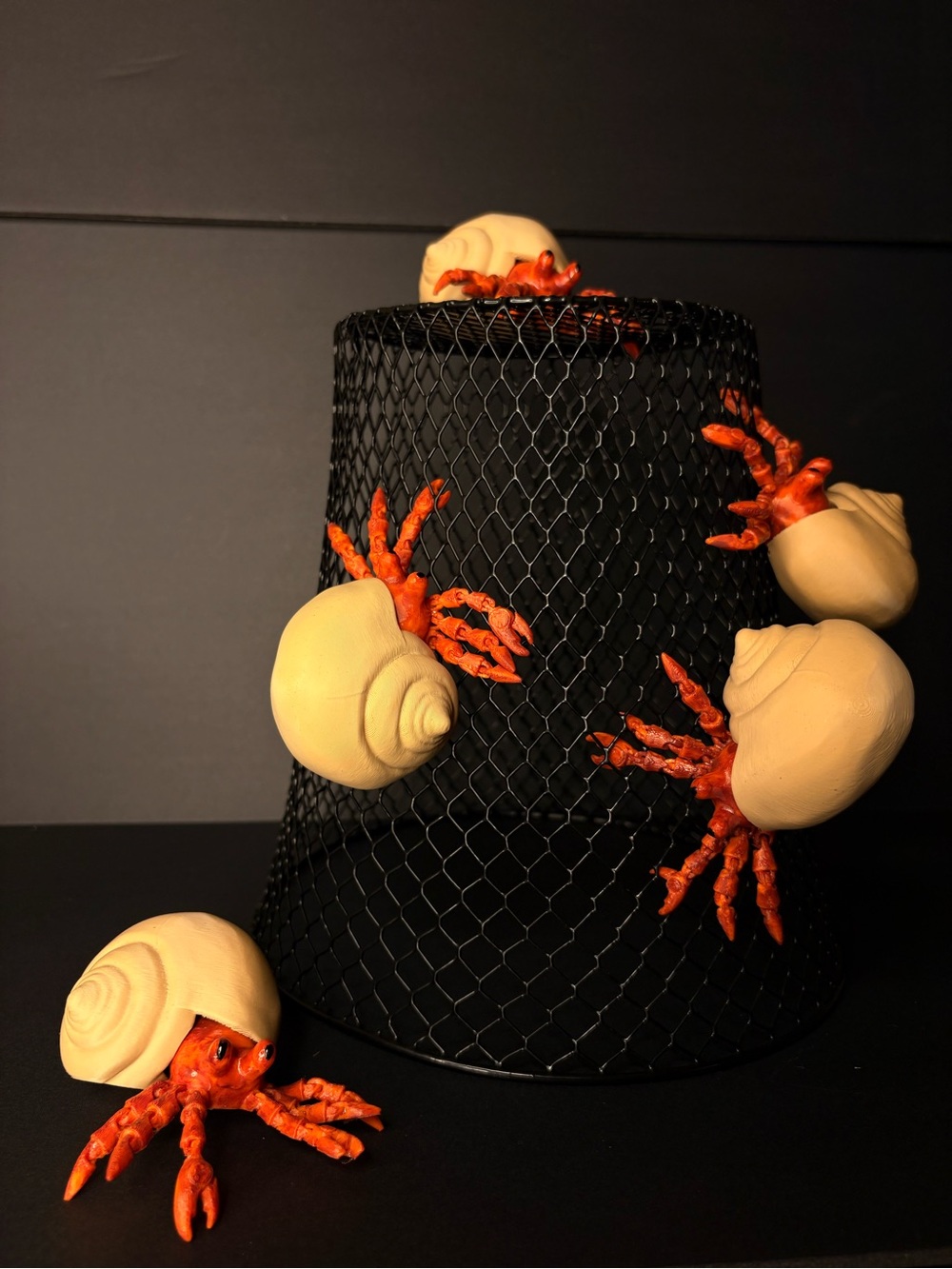 Play pretend pet hermit crab